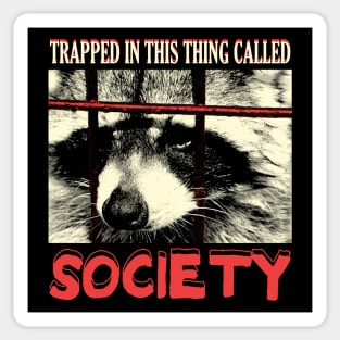 Society Raccoon Sticker